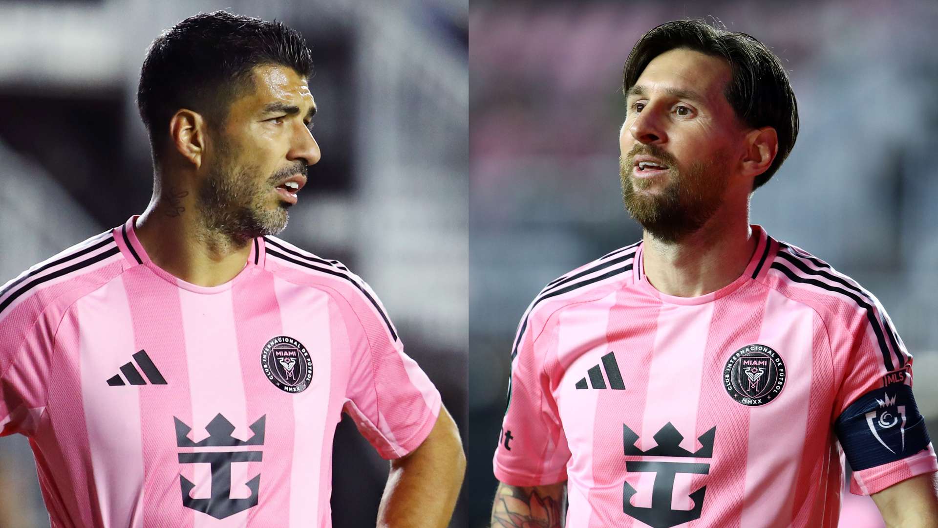 所做出的贡 所做出的贡