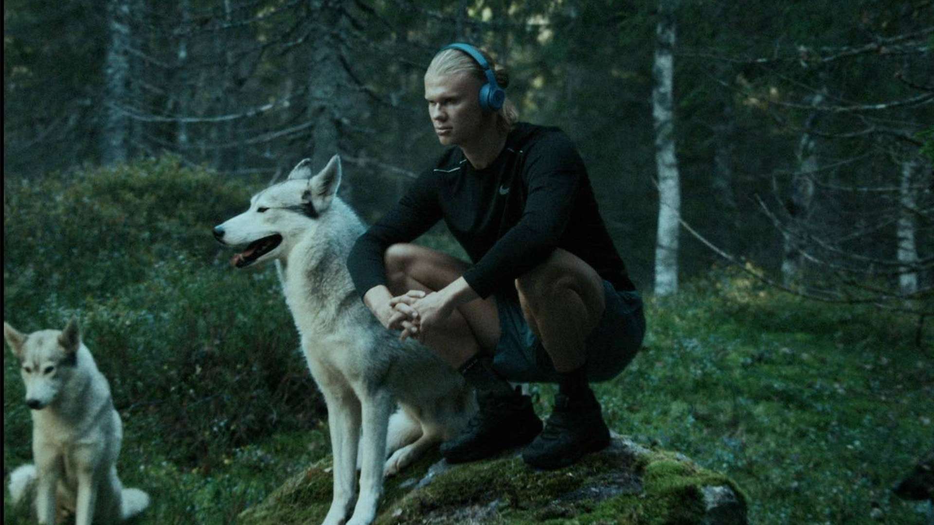 对来年的美 对来年的美