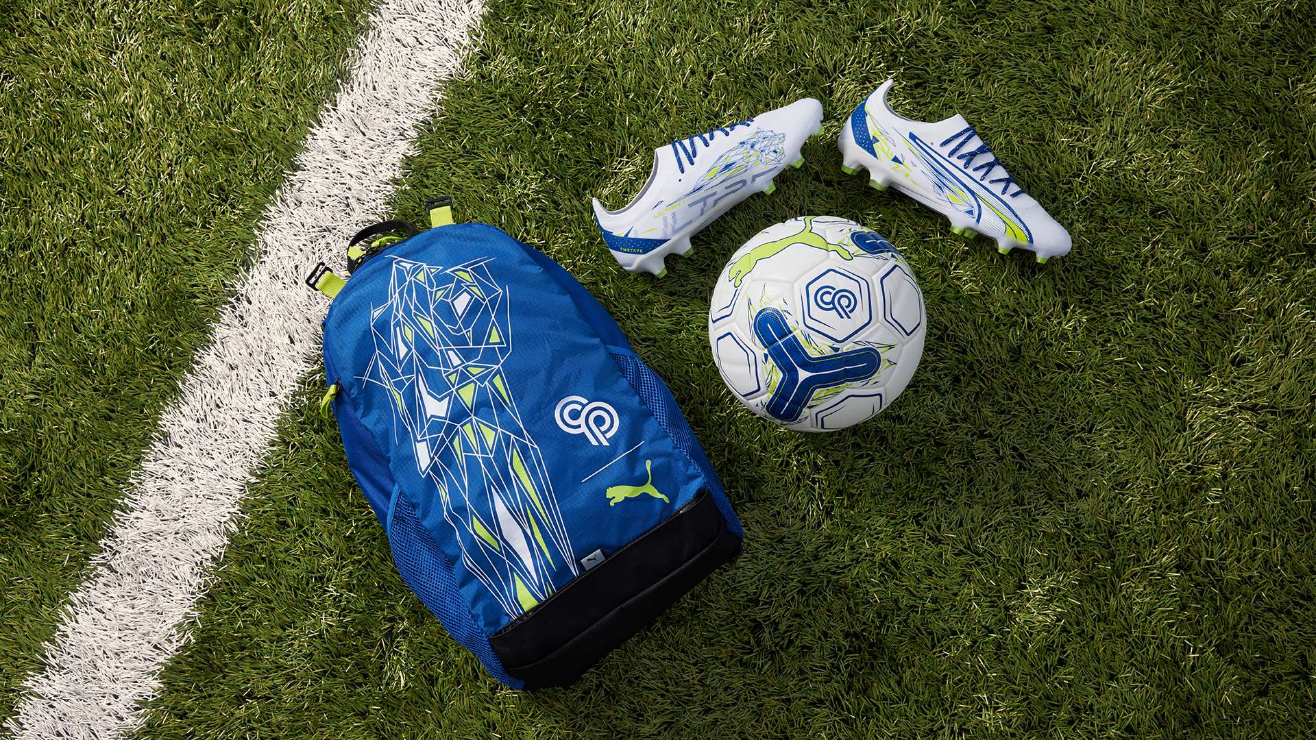 自然馈赠的 自然馈赠的